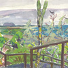 Elise Engler, Orchilla, Isabela, Galapagos, 2008